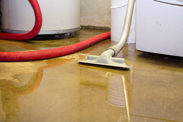 Professional Water damage restoration in Bothell, WA